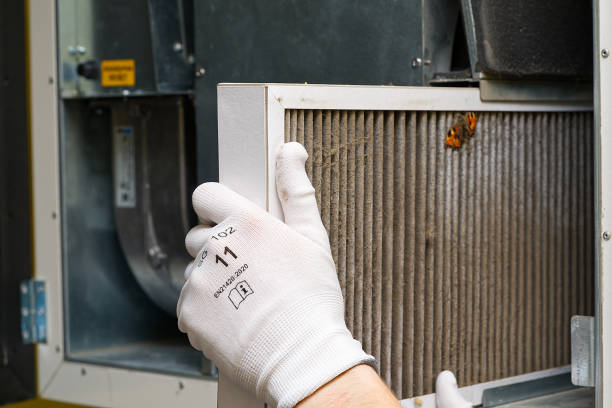 Best Affordable Duct Cleaning Services  in Indian Head, MD