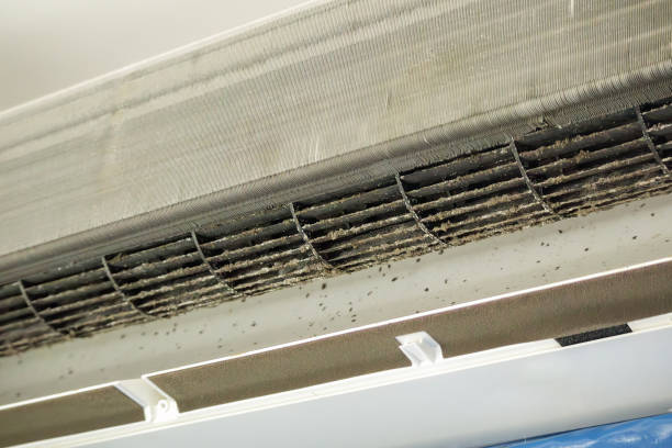 Best Commercial HVAC Duct Cleaning  in Indian Head, MD